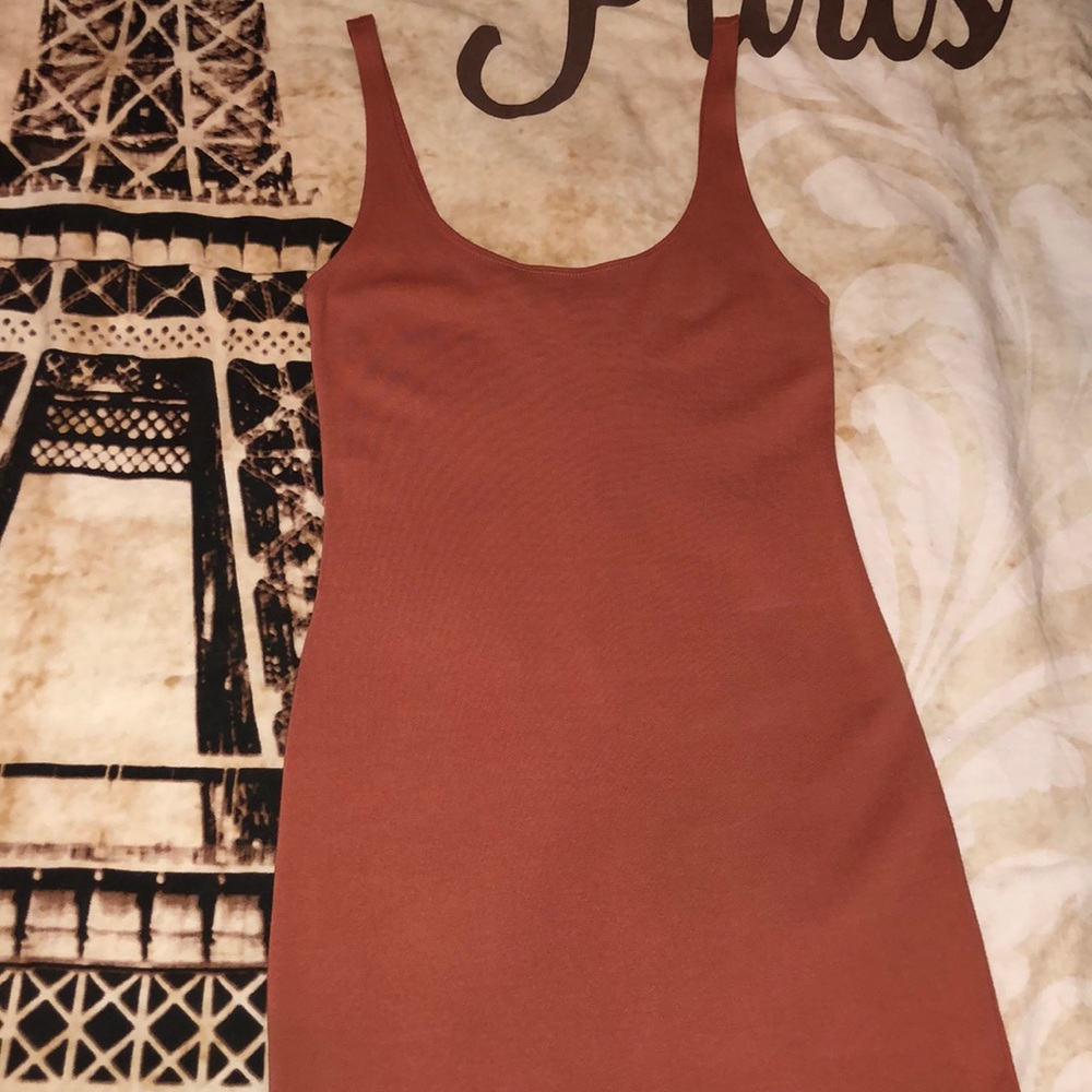NWT rose/ nude pink bodycon dress